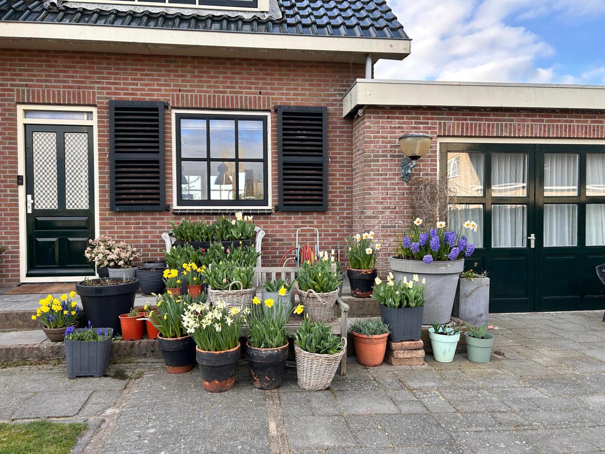 Voorhout Flowerbed מראה חיצוני תמונה